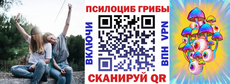 ссылка на мегу зеркало  Сысерть  Псилоцибиновые грибы Psilocybe 